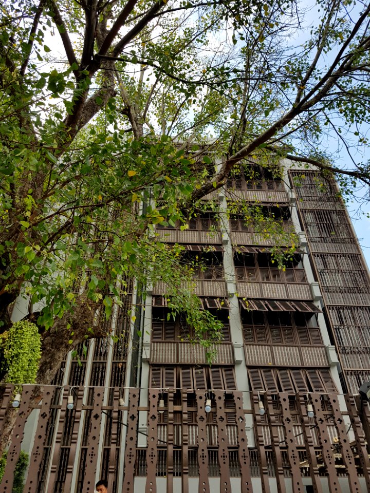 Phra Athit Road - 2017-01-26 (002)