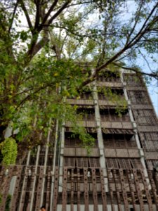 Phra Athit Road - 2017-01-26 (002)