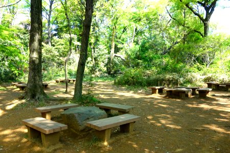 Picnic area - Institute for Nature Study, Tokyo - DSC02122