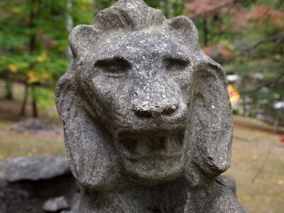 Lion stone symbol