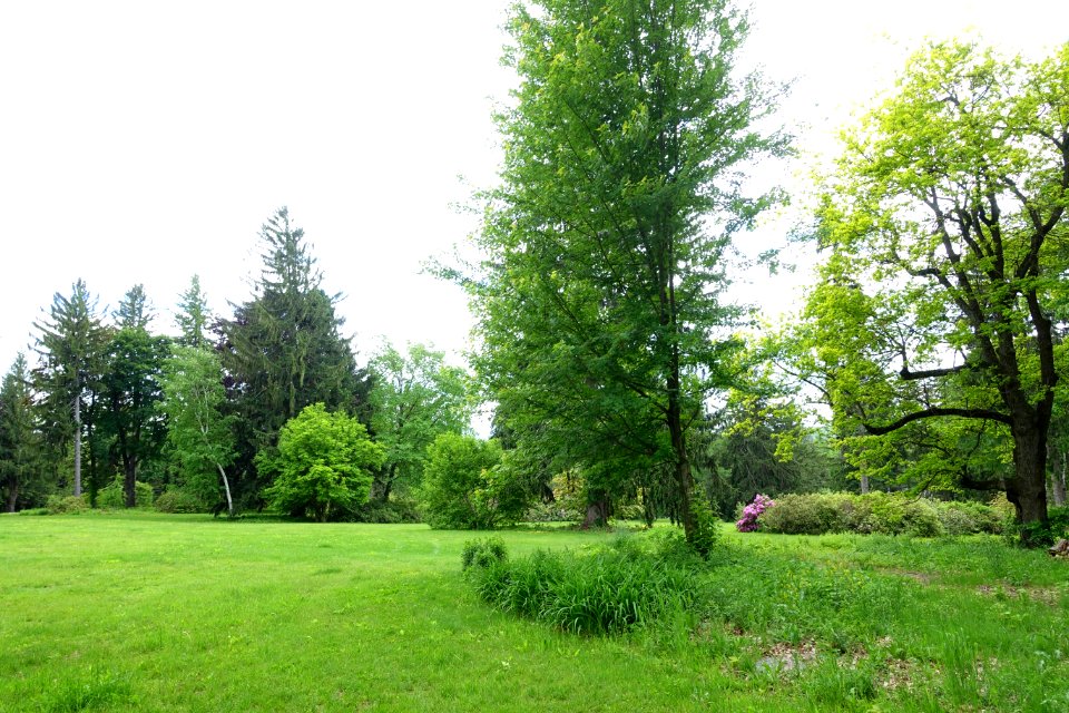 Pierce Meadow - Doyle Community Park & Center - Leominster, Massachusetts - DSC06267