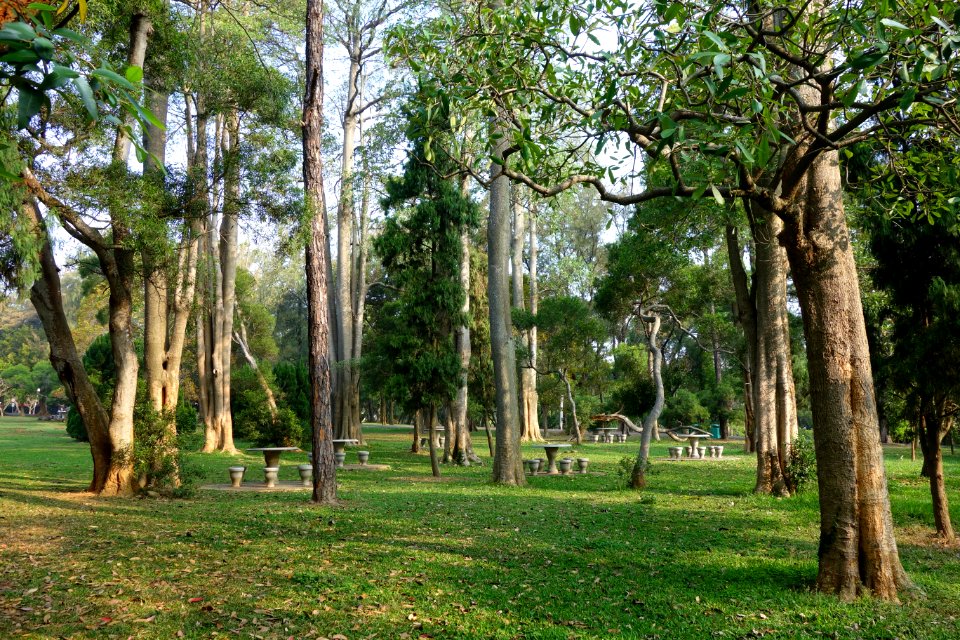 Picnic area - Tunghai University - DSC01771