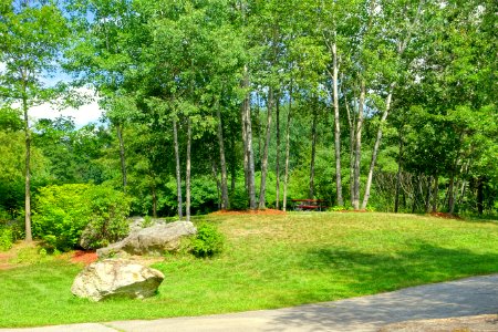 Picnic table - Benson Park - Hudson, New Hampshire - DSC07552
