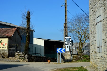 Picarreau 5. Spielvogel