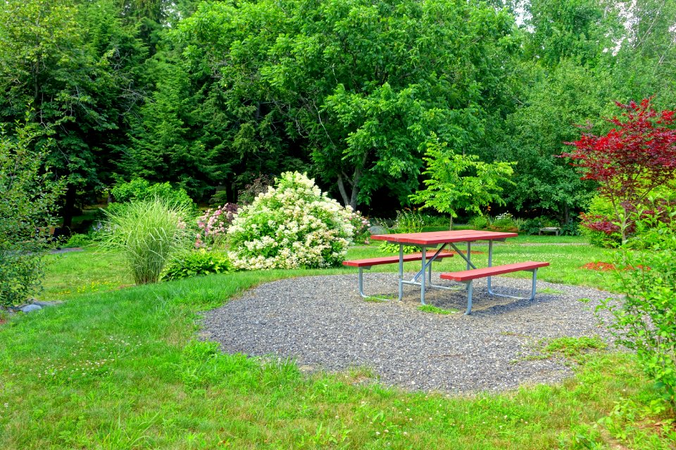 Picnic table - Benson Park - Hudson, New Hampshire - DSC07558