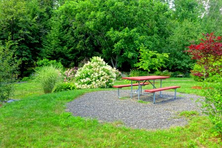 Picnic table - Benson Park - Hudson, New Hampshire - DSC07558