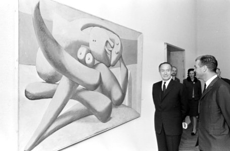 Picasso-tentoonstelling in de rij voor het Stedelijk Museum, Zijne Excellentie P, Bestanddeelnr 920-1373