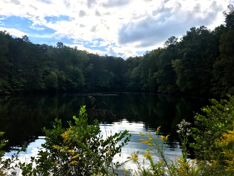 Photo-Soap Creek - Pond on Cloudy Day