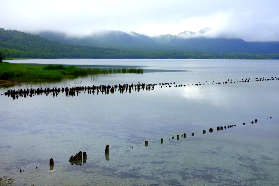Pilings - Lake Usori - Mount Osore - Mutsu, Aomori - DSC00202