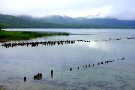 Pilings - Lake Usori - Mount Osore - Mutsu, Aomori - DSC00202