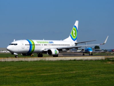 PH-HZN Transavia Boeing 737-8K2(WL) taxiing at Schiphol (AMS - EHAM), The Netherlands, 18may2014, pic-1