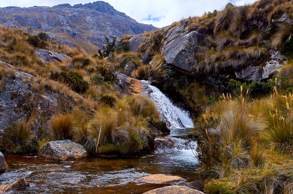 Mountain river wildlife cordilleras