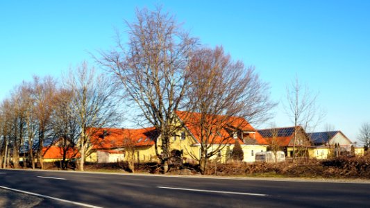 Pferdesportzentrum Ettringen (Wertach) photo