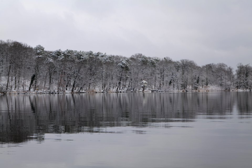 Pfaueninsel from Düppeler Forst with snow 2021-01-30 16