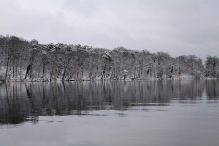 Pfaueninsel from Düppeler Forst with snow 2021-01-30 16