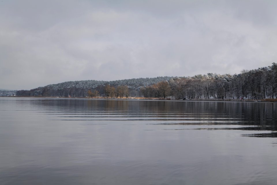 Pfaueninsel and Wannsee from Düppeler Forst with snow 2021-01-30 13