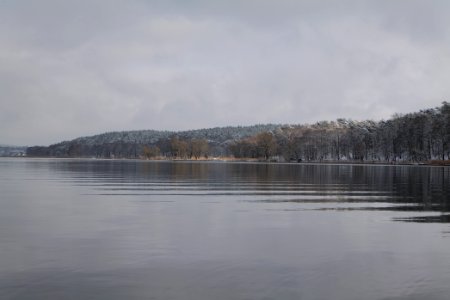 Pfaueninsel and Wannsee from Düppeler Forst with snow 2021-01-30 13