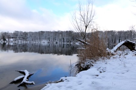 Pfaueninsel from Düppeler Forst with snow 2021-01-30 10