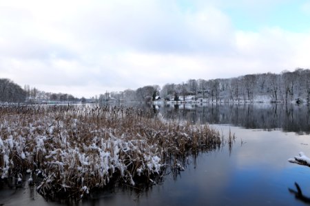 Pfaueninsel from Düppeler Forst with snow 2021-01-30 05