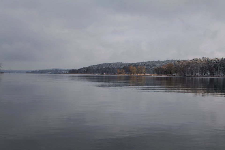 Pfaueninsel and Wannsee from Düppeler Forst with snow 2021-01-30 09