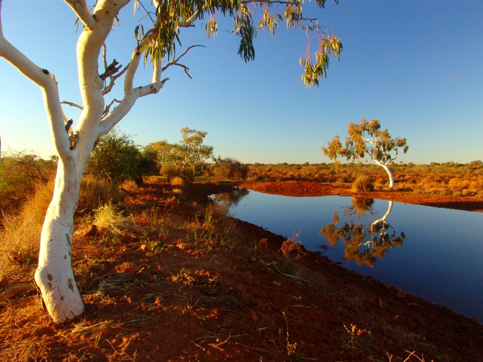 Landscape nature waterhole