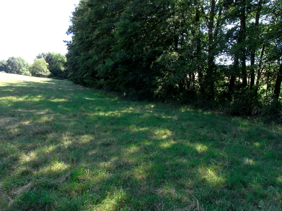 Pfingstborner Bach am Eichwäldchen R0017205