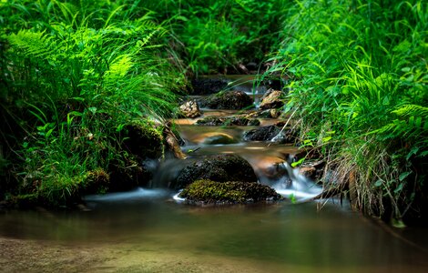 Slovakia water the freshness of the