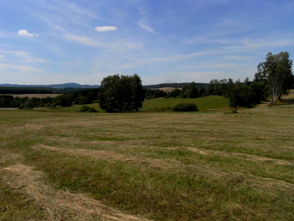 Pfingstborner Bach Zufluss Eichwäldchen von Beginn R0017301