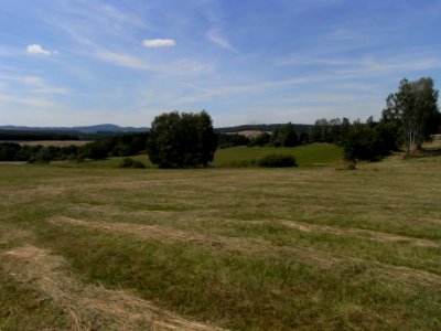 Pfingstborner Bach Zufluss Eichwäldchen von Beginn R0017301