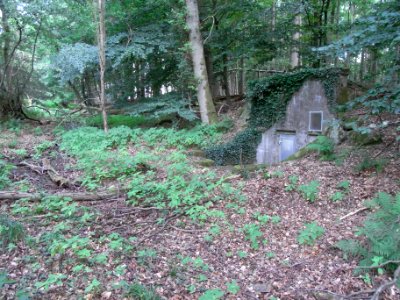 Pfingstborner Bach Hochbehäter R0017023