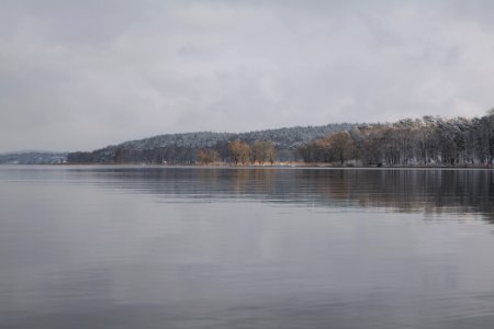 Pfaueninsel and Wannsee from Düppeler Forst with snow 2021-01-30 08