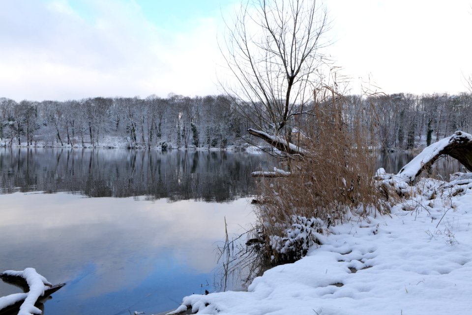 Pfaueninsel from Düppeler Forst with snow 2021-01-30 12