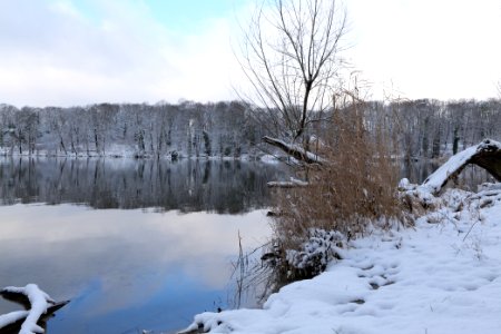 Pfaueninsel from Düppeler Forst with snow 2021-01-30 12
