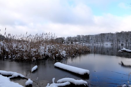 Pfaueninsel from Düppeler Forst with snow 2021-01-30 09