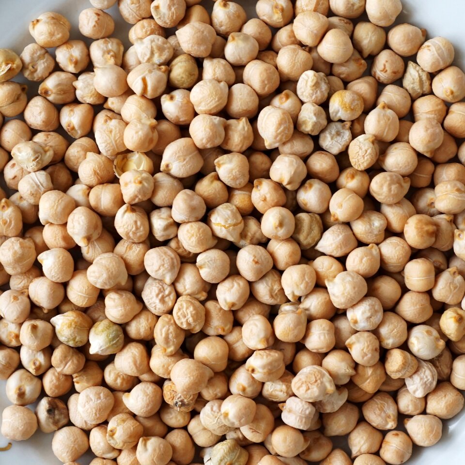 Vegetables legumes healthy food garden