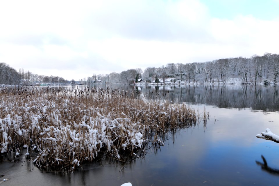 Pfaueninsel from Düppeler Forst with snow 2021-01-30 04