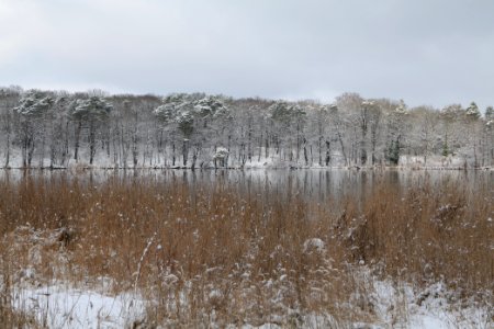 Pfaueninsel from Düppeler Forst with snow 2021-01-30 19