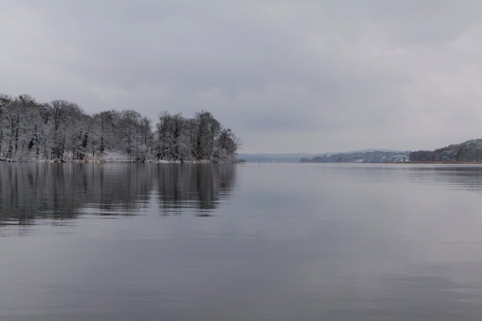 Pfaueninsel and Wannsee from Düppeler Forst with snow 2021-01-30 07