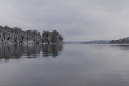 Pfaueninsel and Wannsee from Düppeler Forst with snow 2021-01-30 07