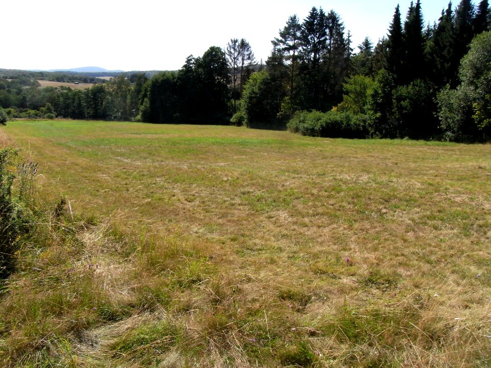Pfingstborner Bach Zufluss Fasanenstraße R0017265