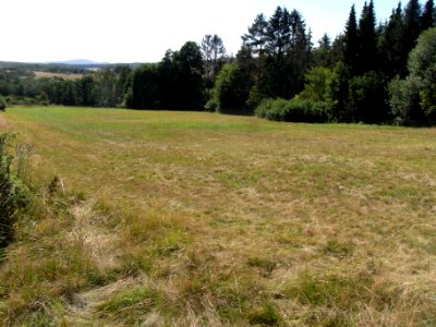 Pfingstborner Bach Zufluss Fasanenstraße R0017265