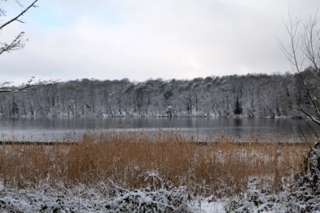 Pfaueninsel from Düppeler Forst with snow 2021-01-30 25
