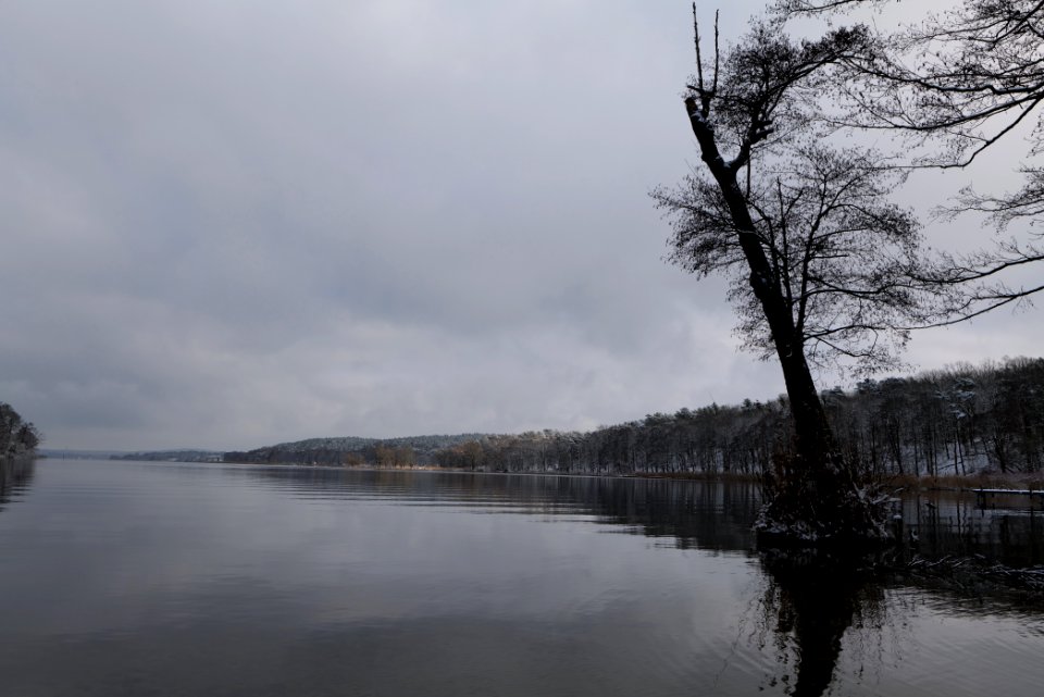 Pfaueninsel and Wannsee from Düppeler Forst with snow 2021-01-30 11