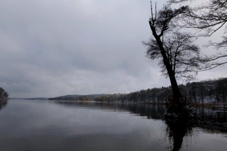 Pfaueninsel and Wannsee from Düppeler Forst with snow 2021-01-30 11