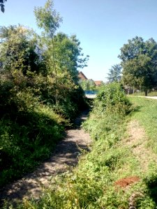 Pfinz, Alte Pfinz bei Graben-Neudorf, trockengefallen