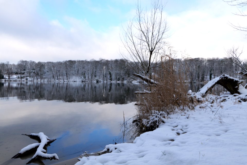 Pfaueninsel from Düppeler Forst with snow 2021-01-30 11