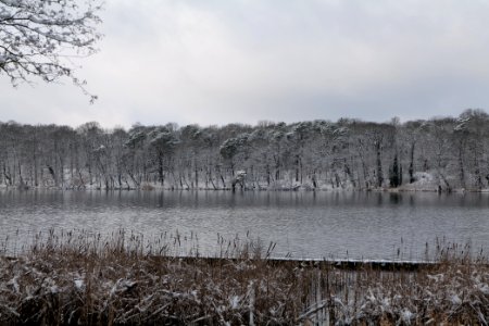 Pfaueninsel from Düppeler Forst with snow 2021-01-30 23