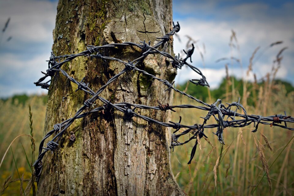 Wire wooden posts caution