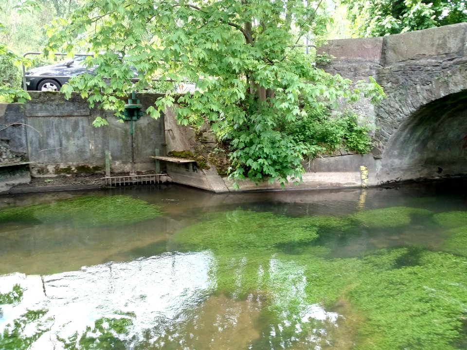 Pfinz, Durlach, Abzweig Pfinzspülkanal