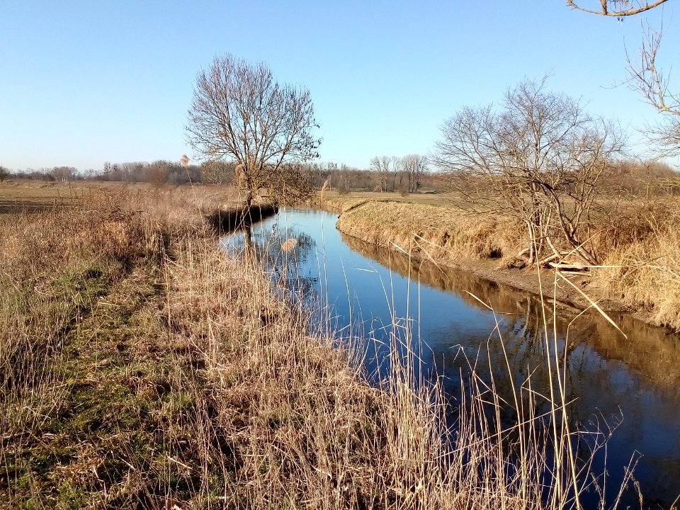 Pfinz, westlich von Graben